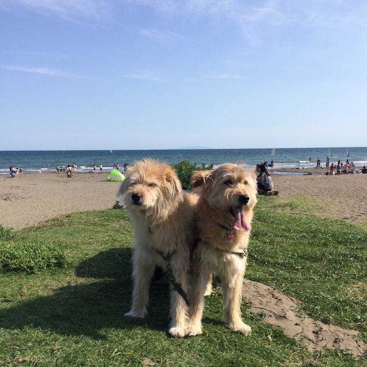 37524de2 cc70 4225 8f55 c29df0f0f053