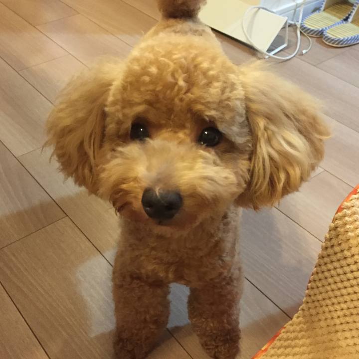 37526369 bdcc 4360 bc08 6f72c316dcab