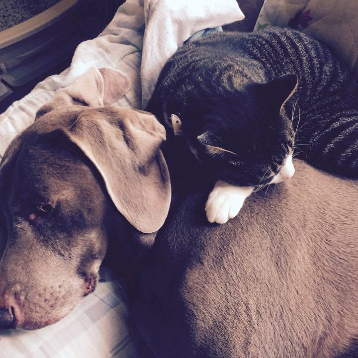 3752847d 1c03 4222 9289 e042a103ffa6