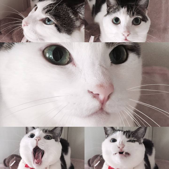 3752eb13 9a10 4b8b a2c4 f2edda216158