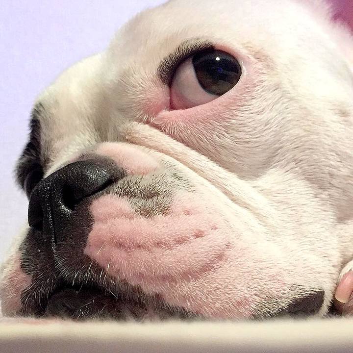 3752f5d6 d12c 4c83 bc98 a51e83131cac