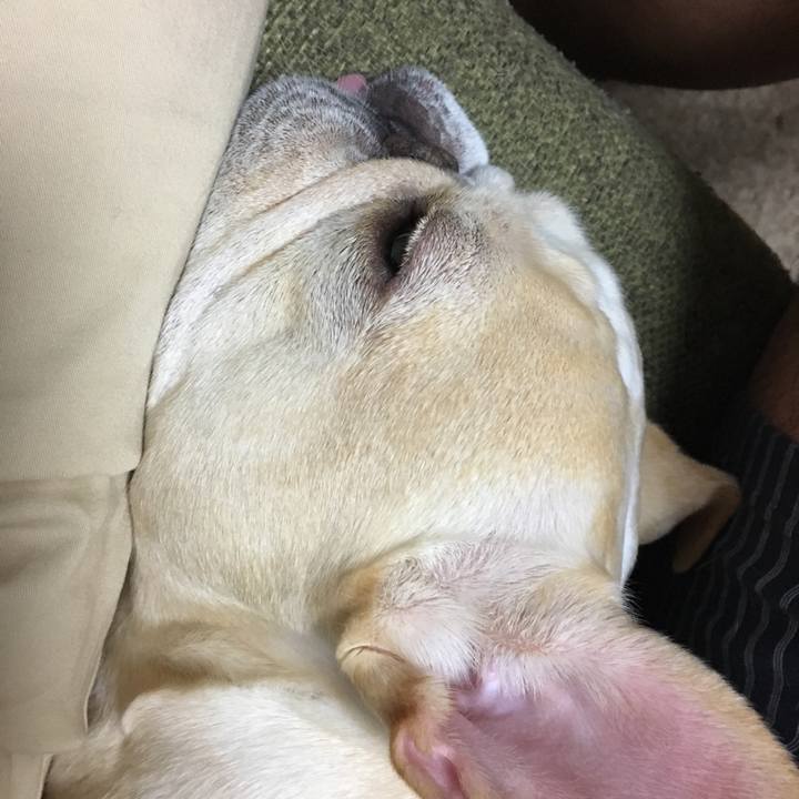 37532fce 8108 4c68 920e 4690ec62e556