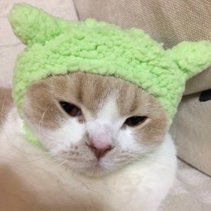 3753309c 55cc 4eb1 a074 55ebe17014bb