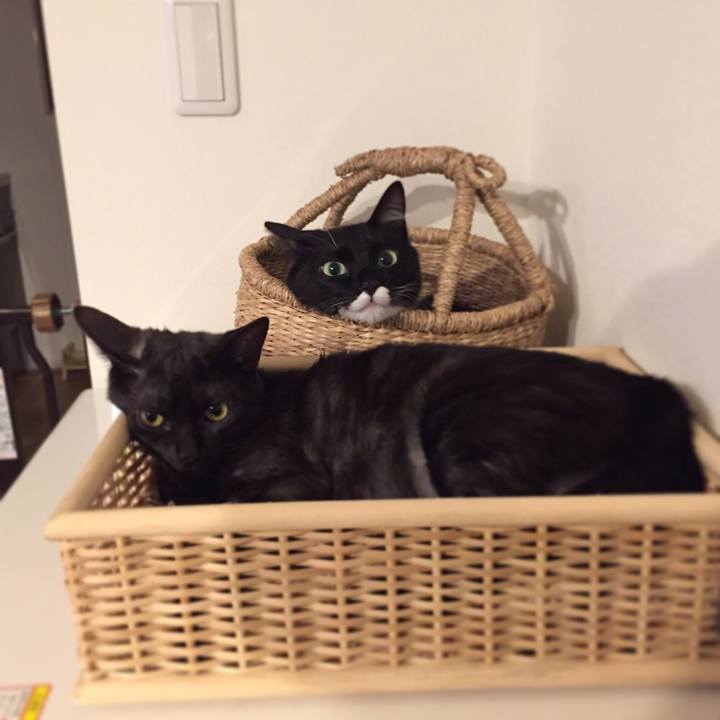 37537104 e92d 43f6 b2ee 2aee13def950