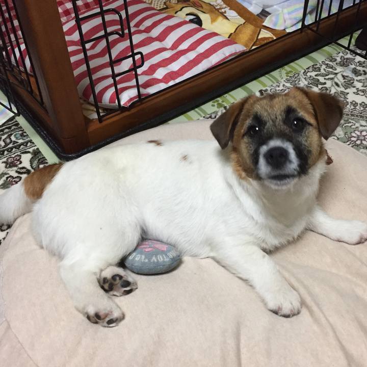 37541324 b707 4a96 829a 90ed50a27493