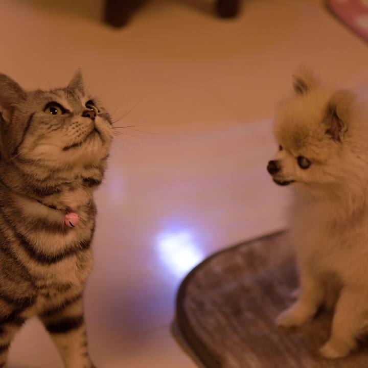 37544767 e5ac 4e46 9a21 193afd5d68a6