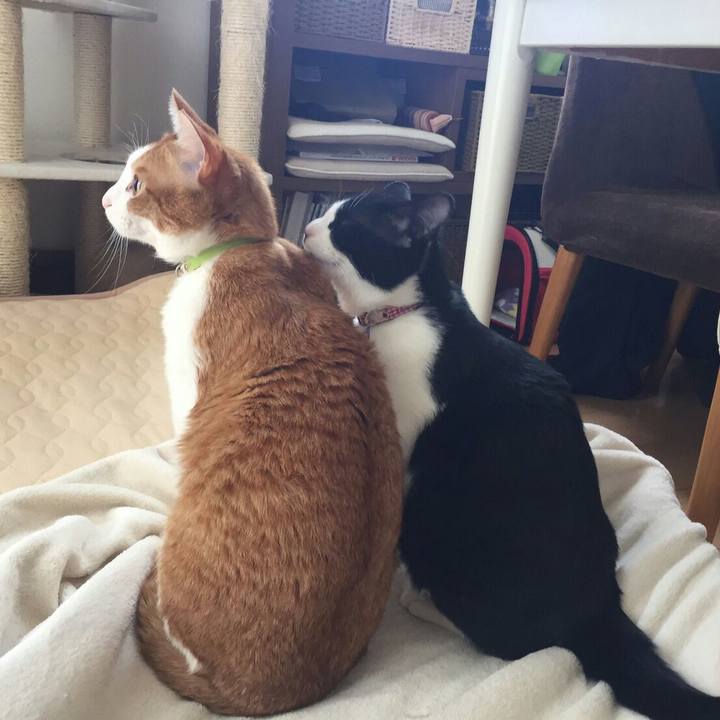 3754f38e 5b6c 4391 a379 6f92649f2644