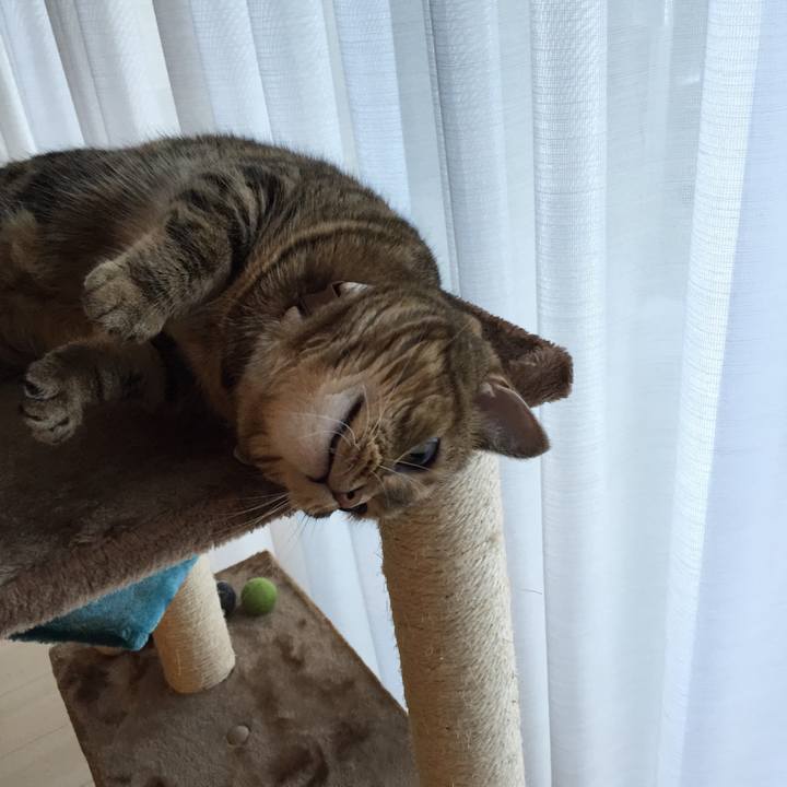 37558948 9143 49a6 b7cb 81bb854635f8