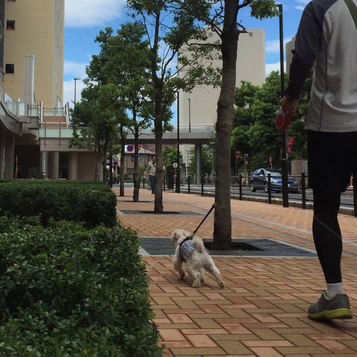 37558b05 cabc 43fa 84b5 d3955a3317d8