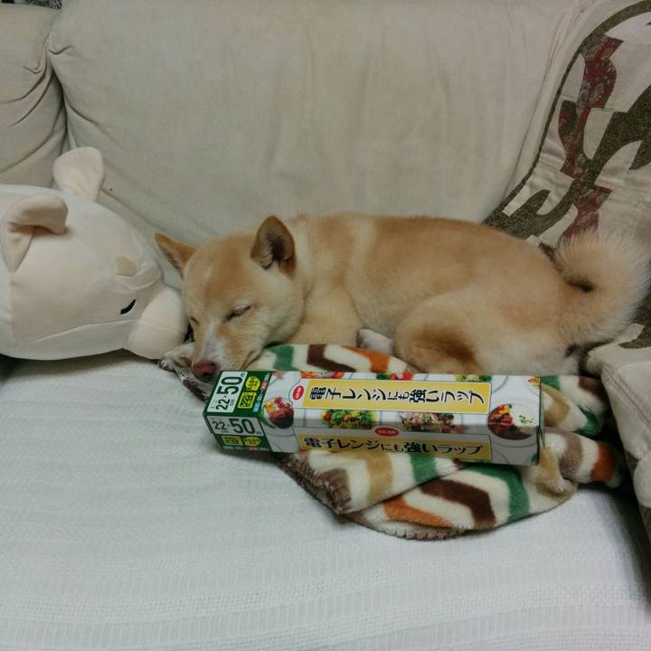 3755ccc9 90f7 4937 8c8f 01a1355756e0