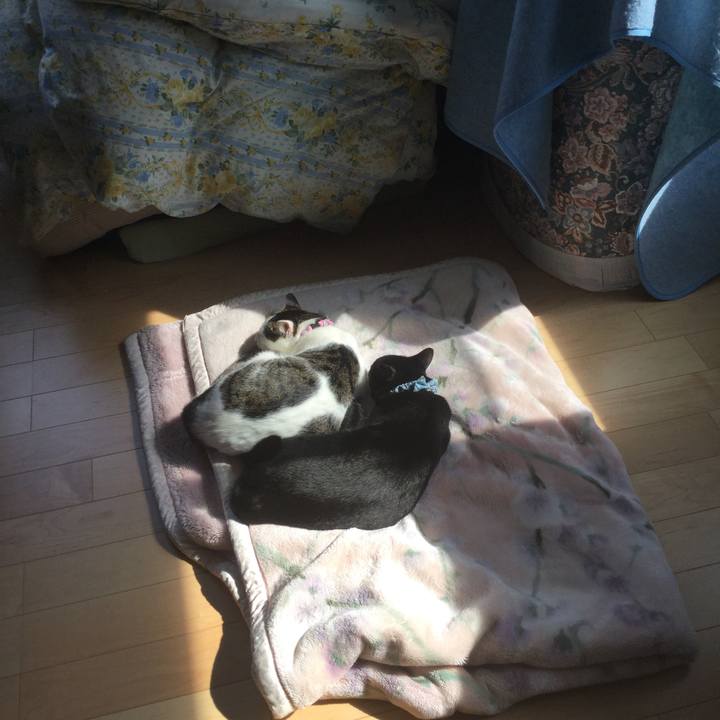 3755eac6 873c 400e a815 25063bd3e51f