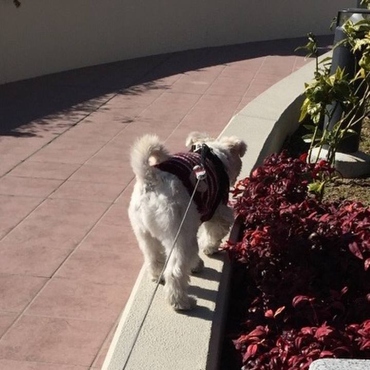 3756f312 4de9 427e 96f9 f59f090f6e75