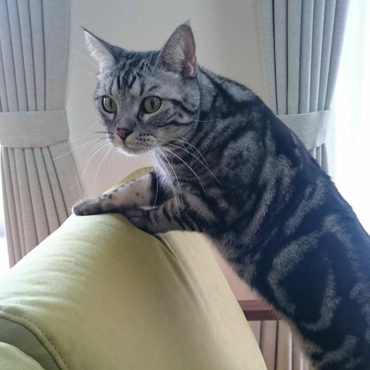 37578124 fee5 4544 b67d 7458d05b78a4