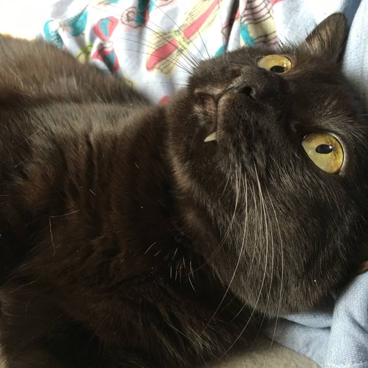 37580742 d481 4d03 8a3c 06c54d8ef524