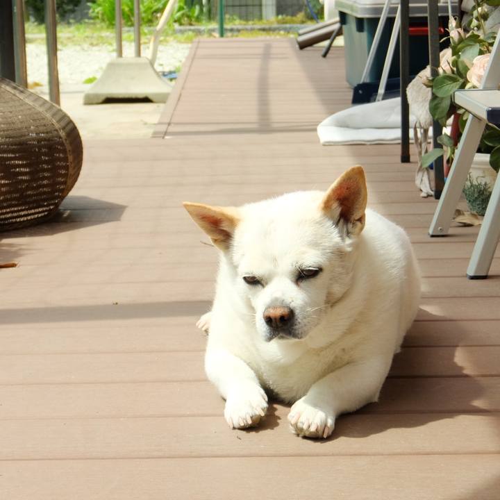 37585f15 8ae9 4ae5 bbff 389577c98437