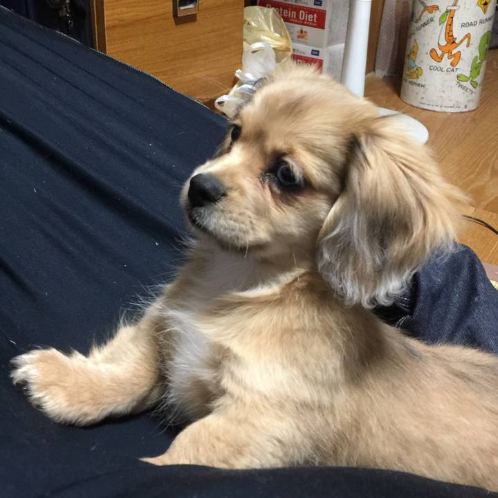 3758bc03 4dd2 485a 818e bb240a37fe8a