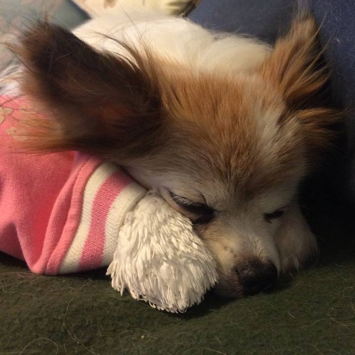 3759c529 c7e2 42bc a3ae 64dc4f77b315