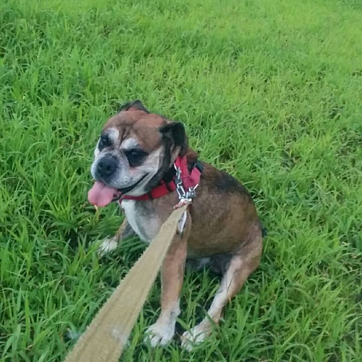 3759d113 0867 495c a27c 944619508e60