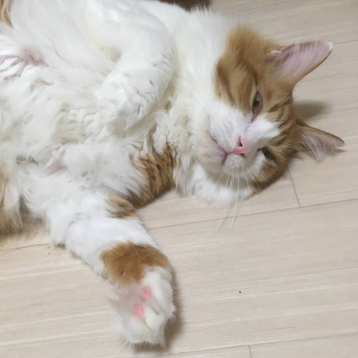 3759f9ee 815d 45e9 a96c ea27542d3161