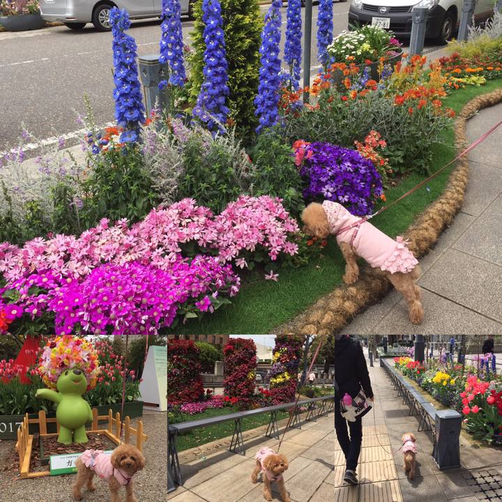 375accbc afda 4dbe b27c e4f8389af22b