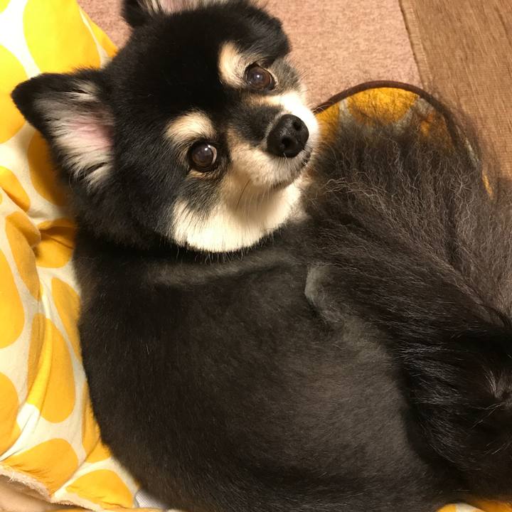 375af441 d8f5 4ae0 bf26 bd5b2e427787