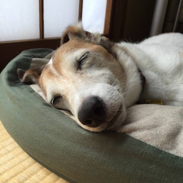 375b2d90 6286 48bf 8f3d 279f9a33c1e3