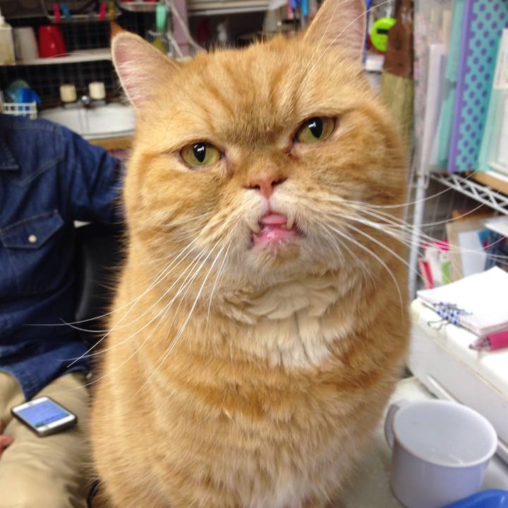 375b4b85 5acd 47d1 8623 90b71b8e7d4e