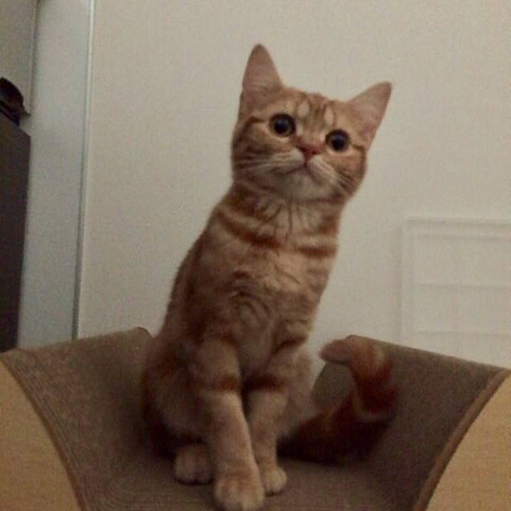 375b83e9 8322 43a0 9557 93188a2b637c