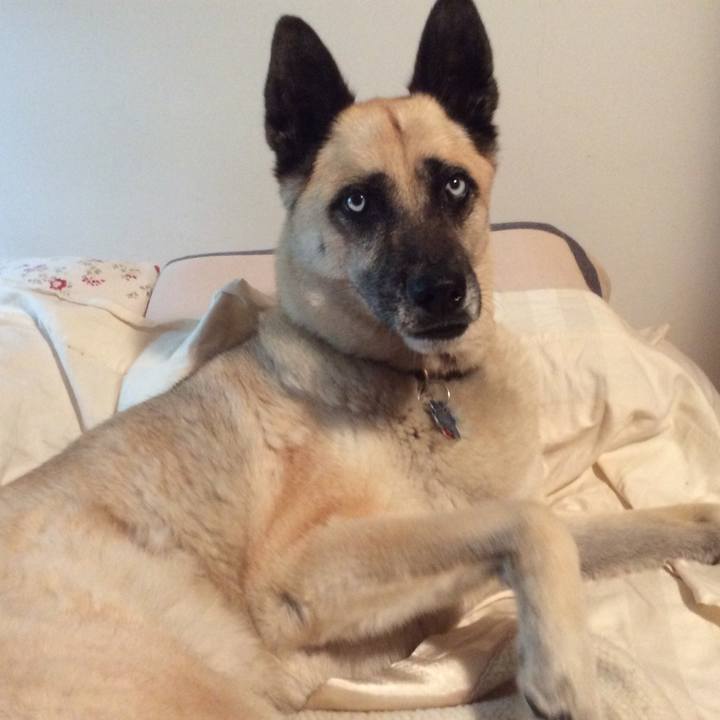 375cdeb6 d8a3 4523 bf6c 5fde4dca55f6