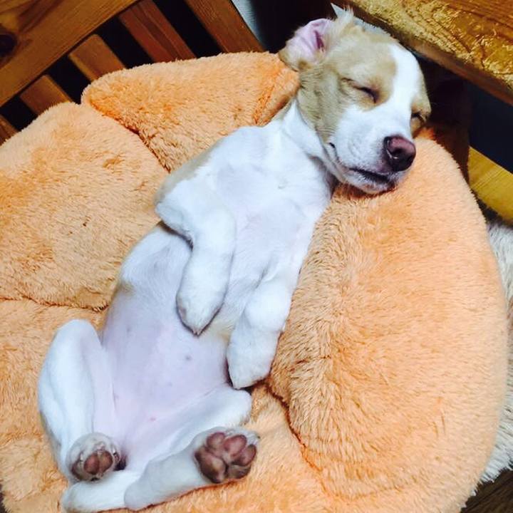 375d318d 5fc7 4876 bab7 eb6d7d39ade6