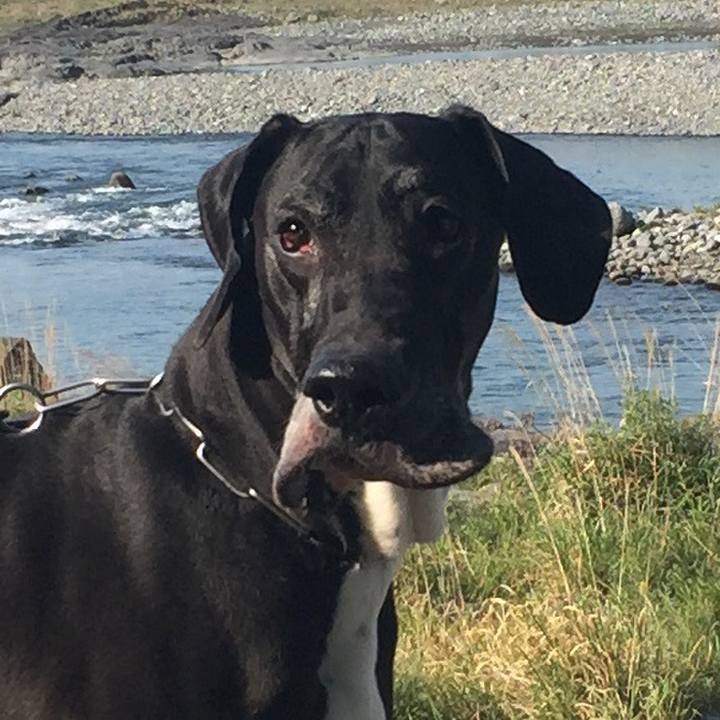 375d6809 61a9 469e bfd2 7f63e26b1629