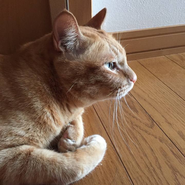 375e2a66 d475 4bd7 936d 9d27f3bf5cc1