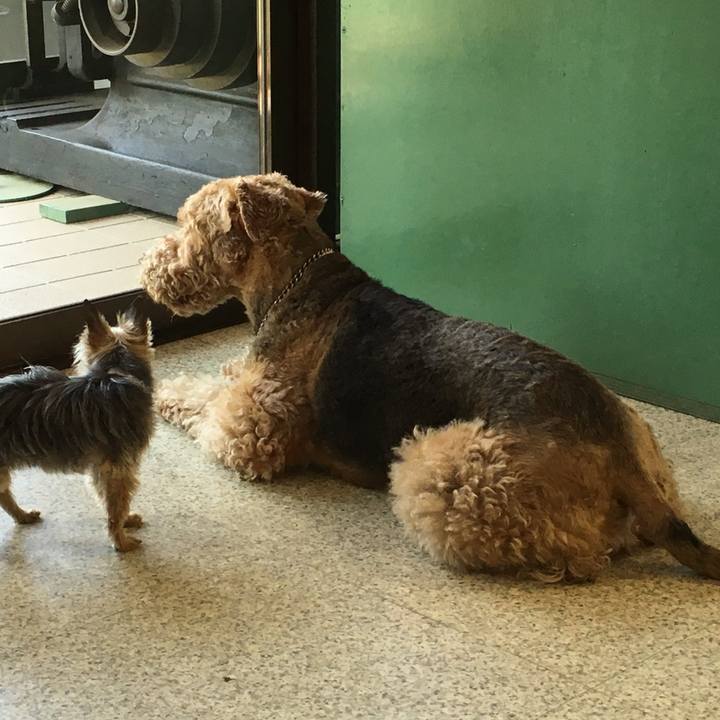 375e642a 70f2 441e 912a 85fb5609ab7f