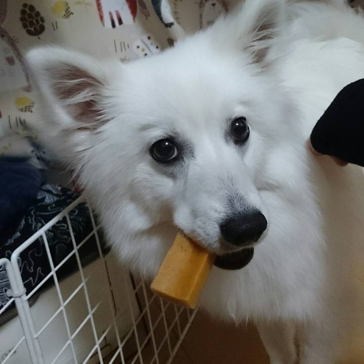 375e8b1e 85cd 4653 8436 9acabd332468