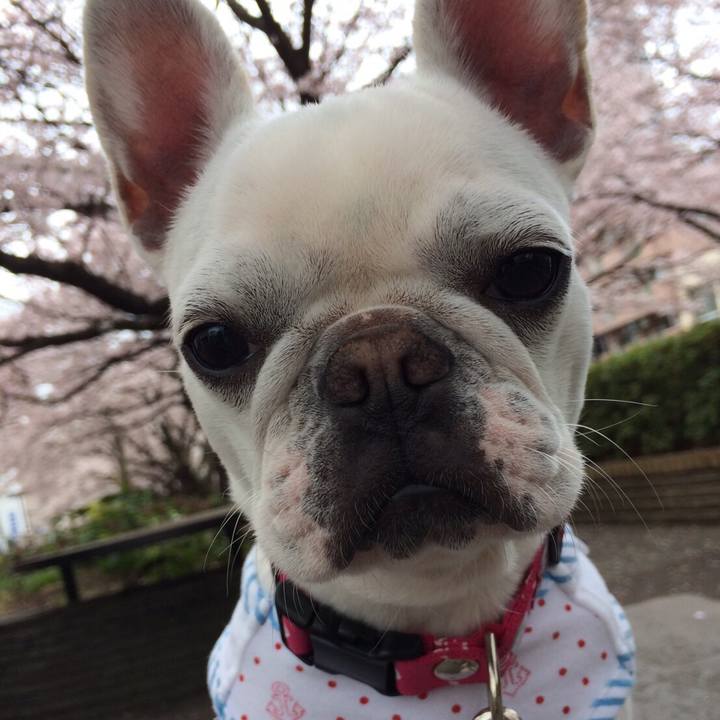 375ed2c3 b027 4eb3 9c07 4c5f996520ab