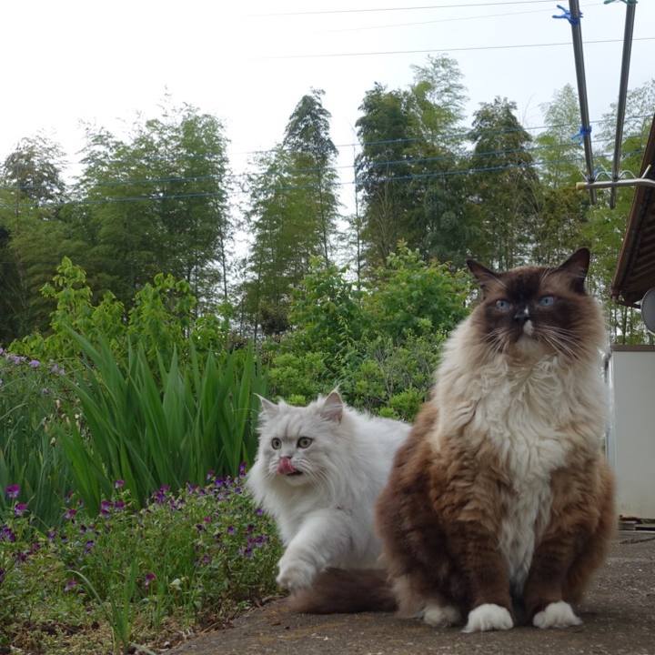 375f9f76 a2f8 47ef 9dbc 6cbfc96a1f7b