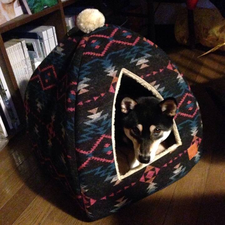 375fd462 1ecc 4be0 940d 00abc562a66a