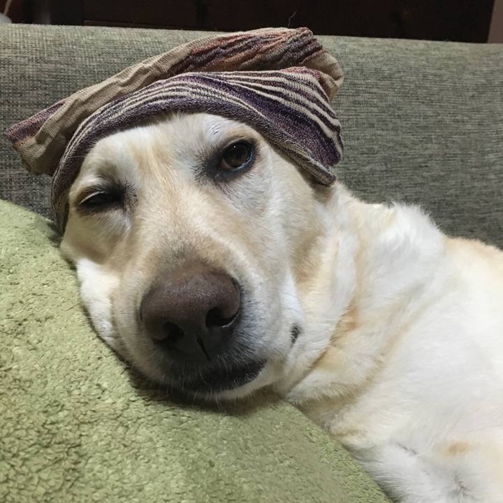 375ff274 3a6b 4065 b9a5 d9da010bb90d