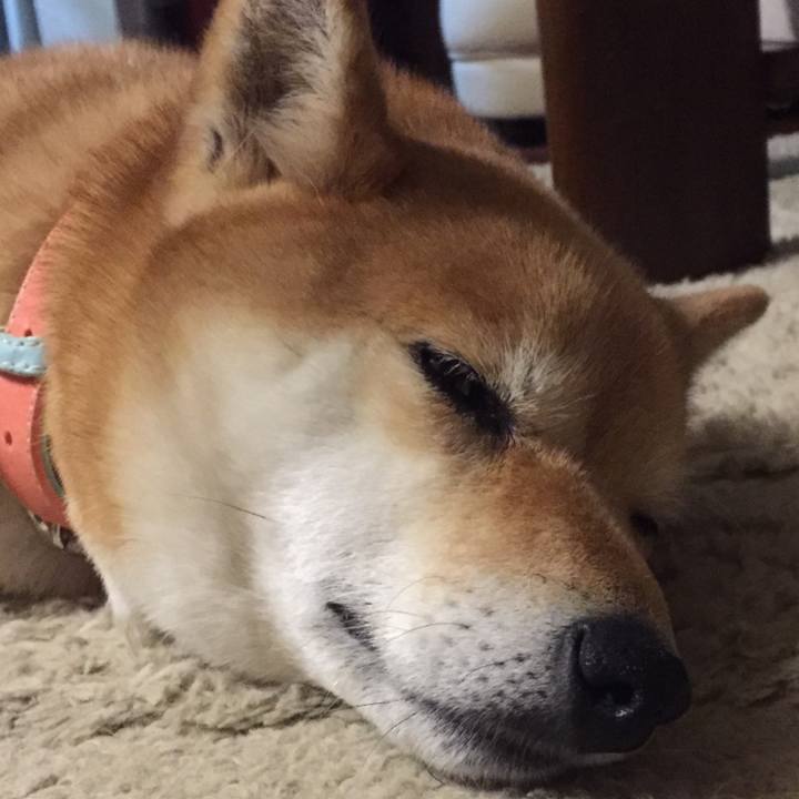 375ff4ac c6f1 40ad a727 7947b0b9ca7f