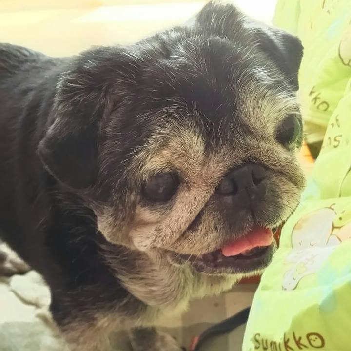 3760039f 73db 4c4e 8848 1f021f9a486e