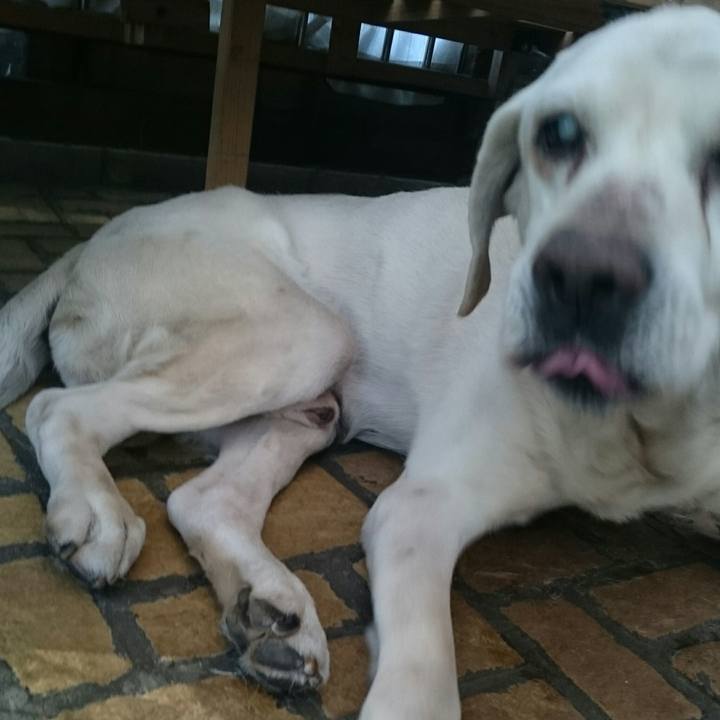 37611a77 1448 4028 81f9 37557e2b2d41