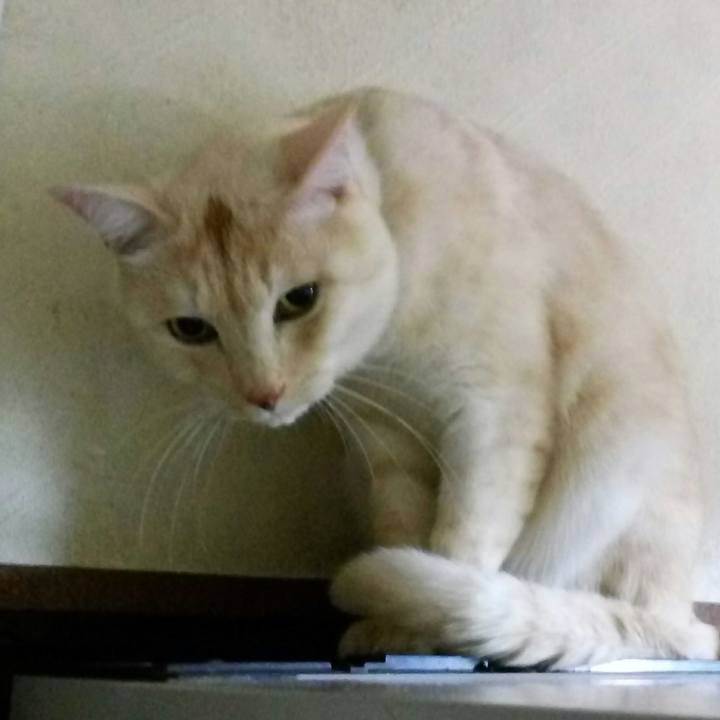 37613148 f748 4b1c b1c7 9644fdbeddd0