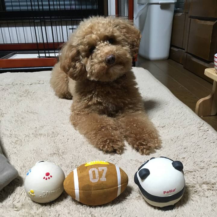 37613471 19af 4a71 be25 4e4ee8f558f1