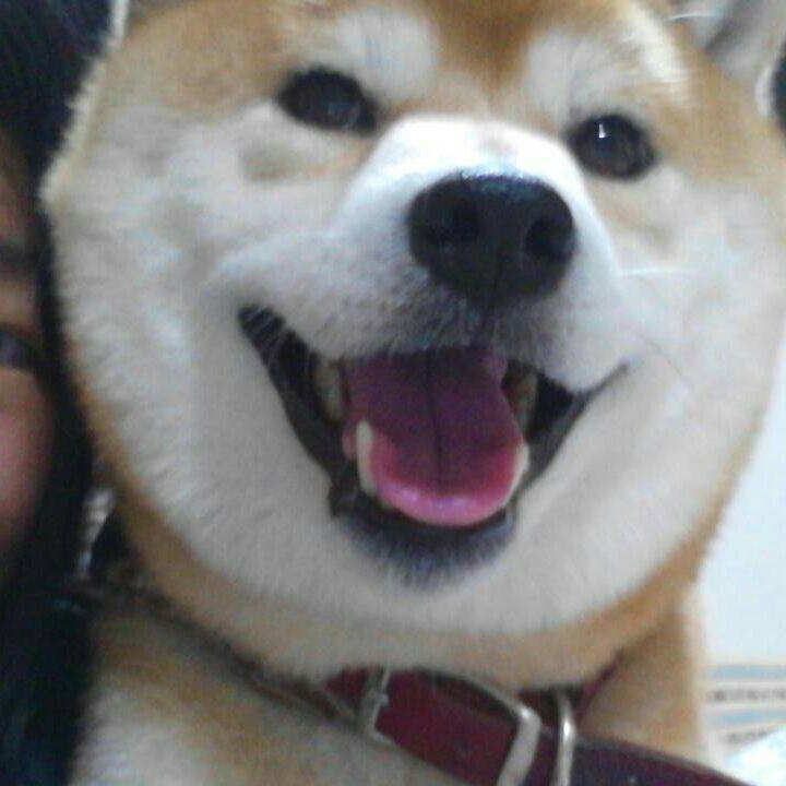 376146b8 26e0 4462 8787 bbf8f9b6e413