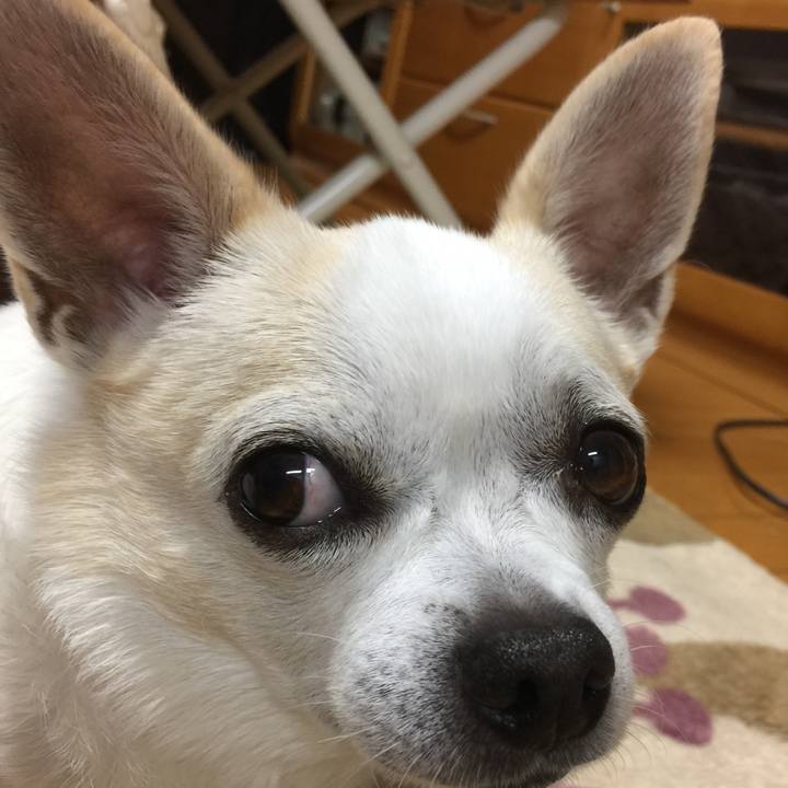 376184c1 6271 4930 b0db 421cd766e6e6