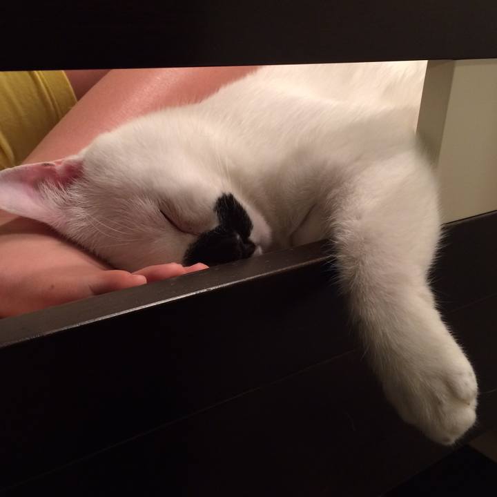 37618e8a 6121 47e9 8297 71d3dd1a8d66