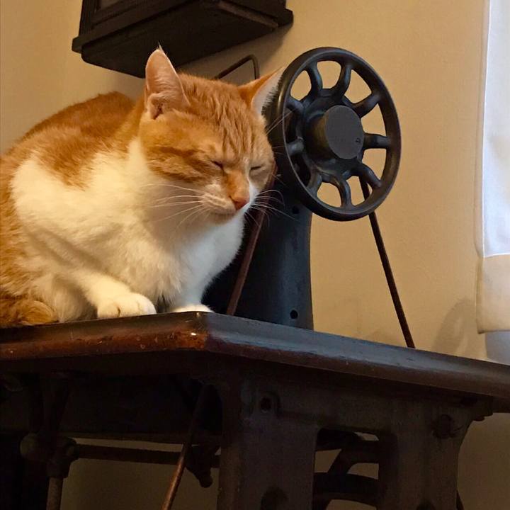 3761b22c 9124 4ee0 8fd8 70701f37affe