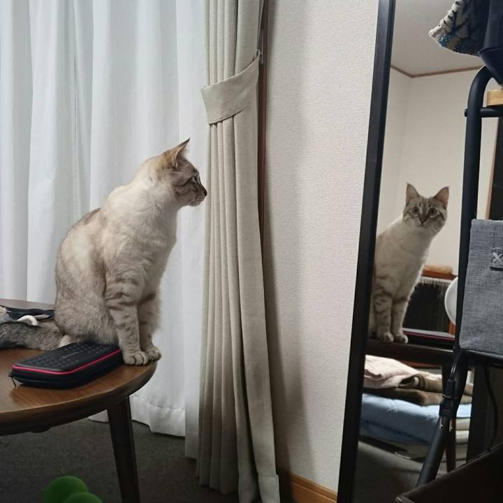 376286da c687 463c bdb8 e3f76153aa41