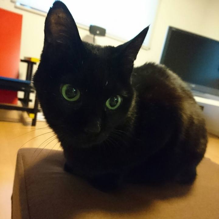 37629271 310f 4a4d be98 3bd3bb2feac4