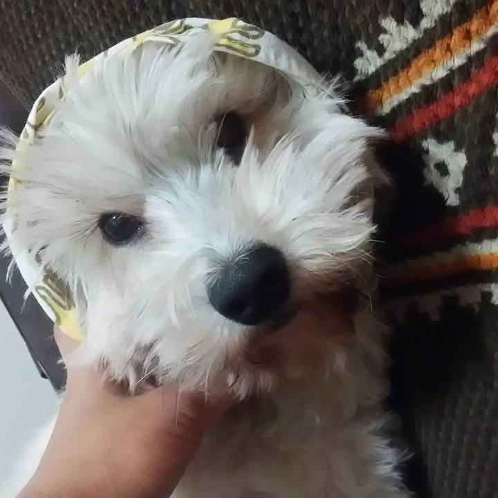 3763613c a79a 4093 a0aa 4d06d90e1810